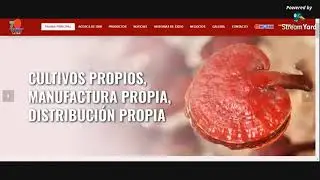 PLATAFORMA EWORD DXN LATAM