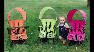 Baby Delight Go with Me Chair