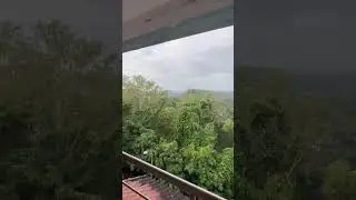 #soundofnature❤️ #serenity🏞️ #greenery #calm #relax #sound #soul #peace #viral #travel #shorts
