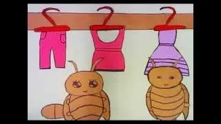 Cockroach Life Cycle - 10Hr Learning Through Animation Workshop @ Red Swastika School