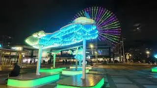 海遊館 ルミネーション 25/12/06