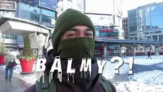 What do Torontonians think of winter weather?