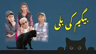 Begum Ki Bili Short Film