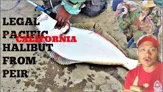 LEGAL HALIBUT FROM PIER - San Diego Fishing