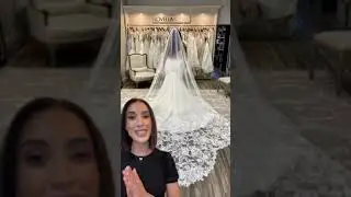 Wedding Veils 👰&zwj;♀️ How to decide on a bridal veil for wedding day!