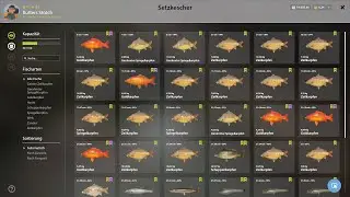 Russian Fishing 4 - Amber Lake - Red Starvas Carp Spot
