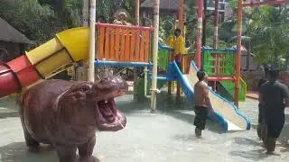 Sunway lagun water fun park 🏄