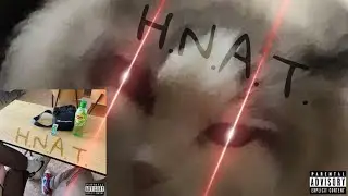 H.N.A.T.  &ndash;  Łast-B