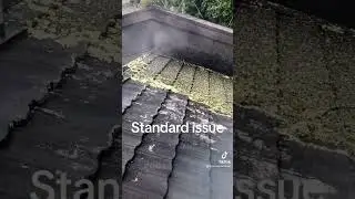 Auckland roofing and repairs