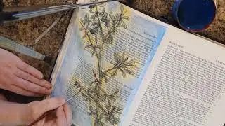 Contemplating Myrrh : An Artist's Response...