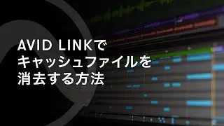 Avid Linkでキャッシュファイルを消去する方法