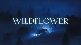 Wildflower | Ambient Version | Billie Eilish | 1 Hour Loop 
