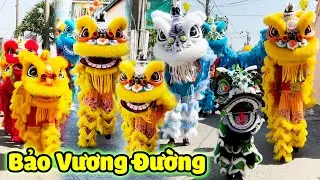 M&uacute;a L&acirc;n Khai Quang Điểm Nh&atilde;n 2026 đo&agrave;n LSR Bảo Vương Đường c&uacute;ng Ch&ugrave;a &Ocirc;ng C&ugrave; Lao Phố