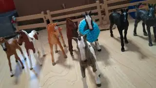 Varsojen Amongussisa tallilla 🤣🏇