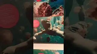 Palau at Dubai Expo 2020 - Vlog (Island in Western Pacific Ocean - North of Australia)