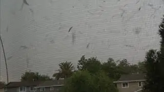 Downburst Storm Hits Greater Sacramento Region With Sudden Strong Winds September 2, 2025