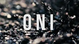 2SCOOPS - ONI