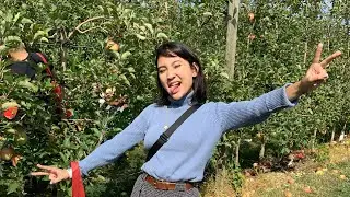 Apple Picking Vlog