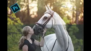 Speed photo edit (Equine photography)