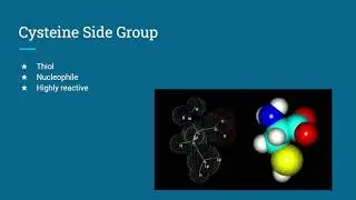 Protein Project Part A MC1R