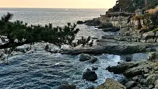 [4K] Igidae Coastal Trail Tour. Busan City  S Korea | 二妓臺 산책로 투어