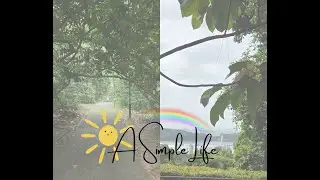 A Simple Life in Singapore,first week of January, planners, morning pages, hike up Mount Faber