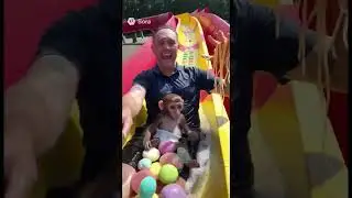Ole spaghetti fingers and puppy monkey baby #funny #ai