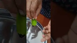 leaf boat experiment with ink #scienceexperiment #shortsvideo #experiment #shorts