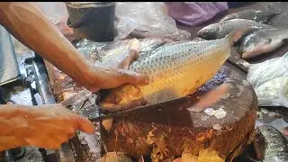 Mastering ROHU Fish Cutting Skills in Minutes।
