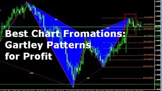 Gartley Patterns Forex Trading Chart Formation Explained do They Work?