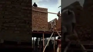 under construction building was collapsed