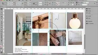 Editing and Scaling your images