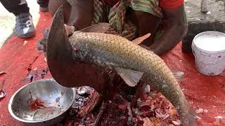 I never seen ll amazing big Rouhfish cutting live skills by expert fish cutter in Bangladesh 