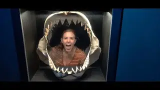 SeaWorld Super Sunday | POV Mako, Infinity Falls, and Pins at SeaWorld!?