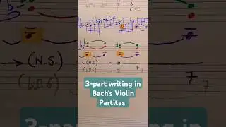 Compound melody in Bach #bach #analysis #musictheory #counterpoint #violin #partita #shorts #bwv