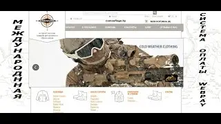 WebPay платежная система