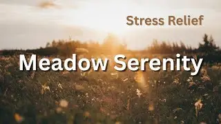 Meadow Serenity &ndash; Wind Whisper & Birds Chirping for Relaxation & Meditation