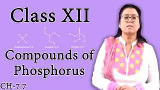 Compounds of Phosphorus | P Block Elements | Class 12 Chemistry | Shaillee Kaushal