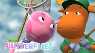 Backyardigans - Butterflies (Original Song by Hearts2Hearts)