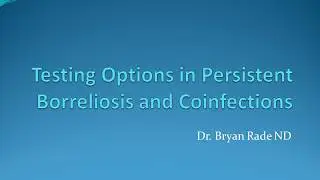 Testing Options in Persistent Borreliosis and Coinfections