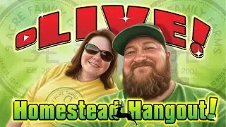 Weekly Live Homestead Hangout! Trivia games and more!