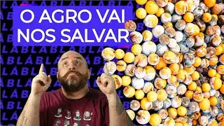 por que produzimos ALIMENTOS?  | LIVE DE TERÇA