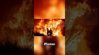 🔥 Massive Wildfires Force Evacuations in Texas & Florida! 🔥 #goviral #trending #fyp