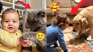 These Furry Pets Love their Owners Children 😍 #cat 