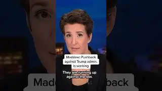 Maddow: Pushback against Trump admin. is working