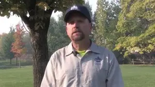 Planting your shade tree in Idaho's Treasure Valley