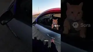 Sora: police officer pulling over a car with a cat driver