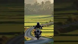 Duck on Bike #shorts #funny #trending #viral #duck #bike #YouTubeShorts #Viral #FYP #Subscribe #Vlog