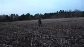 Spring Turkey Hunt 2017 Roosting Tom