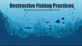 Destructive Fishing Practices (Oceano 001)